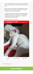 Lost Female Cat last seen Oaklandbay, West Sacramento, CA 95691