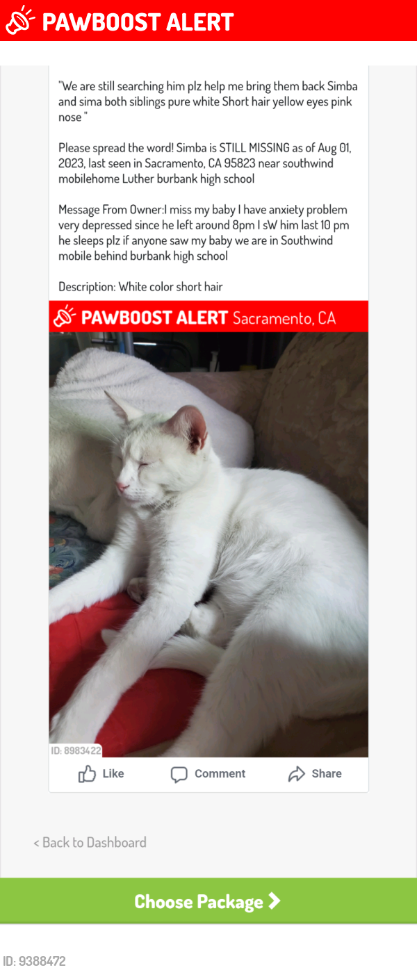 Lost Female Cat last seen Oaklandbay, West Sacramento, CA 95691