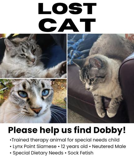 Lost Male Cat last seen Ranches Parkway, Eagle Mountain, UT 84043