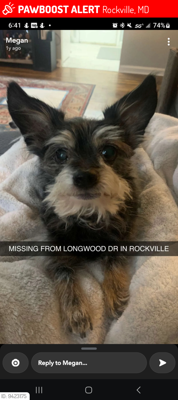 Lost Male Dog last seen Maryvale Park, Rockville, MD 20850