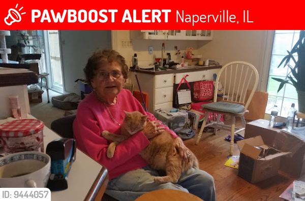 Lost Male Cat last seen Hobson & Hobson Mill Dr., Naperville, IL 60540