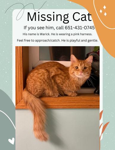 Lost Male Cat last seen Nortonia Ave/ Ruth St N, Saint Paul, MN 55119
