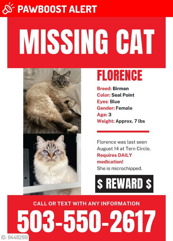 Huntington Beach, CA Lost Female Cat, Florence Is Missing | PawBoost