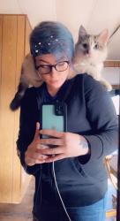 Lost Male Cat last seen S shore diamond lake rd & coyote trail, Newport, WA 99156
