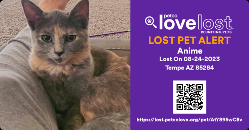 Lost Pets in Glendale, AZ - Find Missing Pets | PawBoost