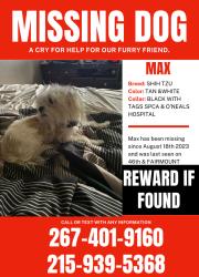 Lost Male Dog last seen Near Fairmont ave Philadelphia, Pa 19139, Philadelphia, PA 19139