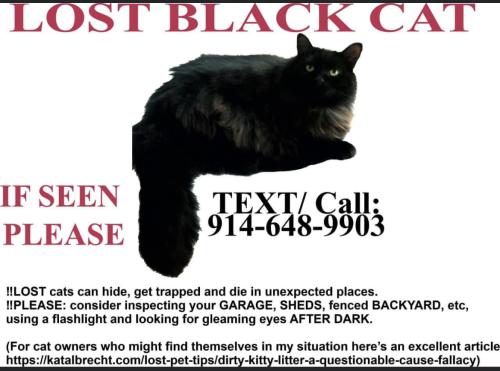 Lost Male Cat last seen Post Oak Tritt RD / Spencers Trace - Holly Springs East / Holly Springs Rd, Cobb County, GA 30062