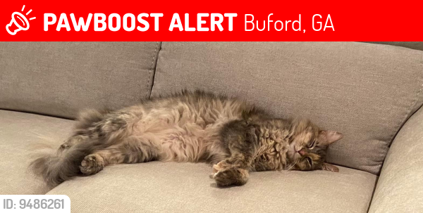 Lost Female Cat last seen North Bogan Road, Buford, GA 30519