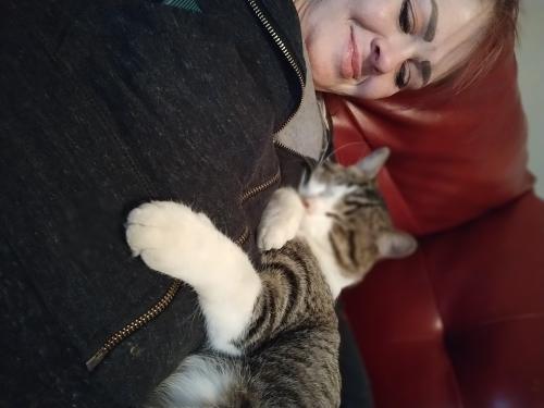 Lost Male Cat last seen Lyndale ave north and 53rd, Brooklyn Center, MN 55430