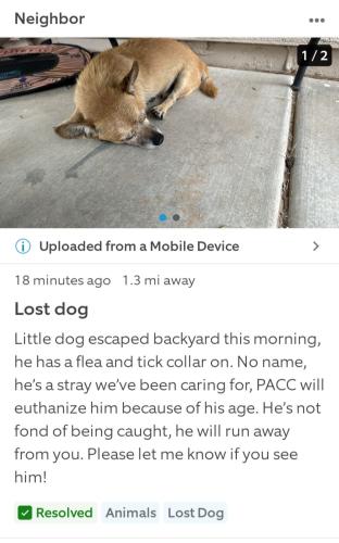 Lost Male Dog last seen Tangerine & Moore, Marana, AZ , Marana, AZ 85653