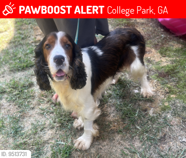 Lost Male Dog last seen Palmour Court, College Park, GA 30337