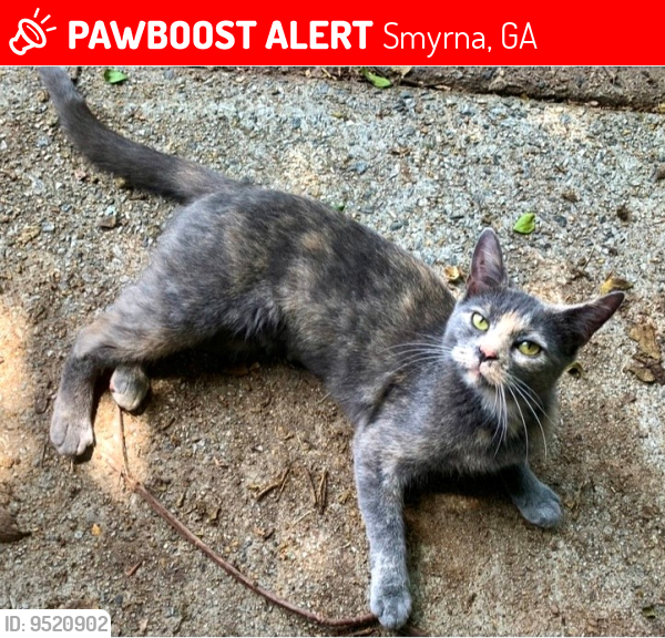 Lost Female Cat last seen Near Afton Way SE, Smyrna, GA 30080