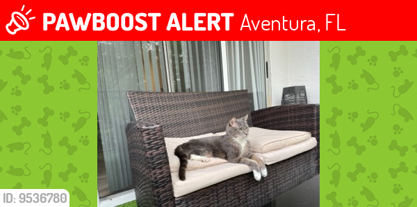 Lost Male Cat last seen  Promenade Aventura Apartments , Aventura, FL 33180