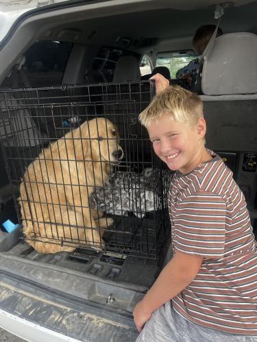 Lost dog reunited in Franklin County, WA