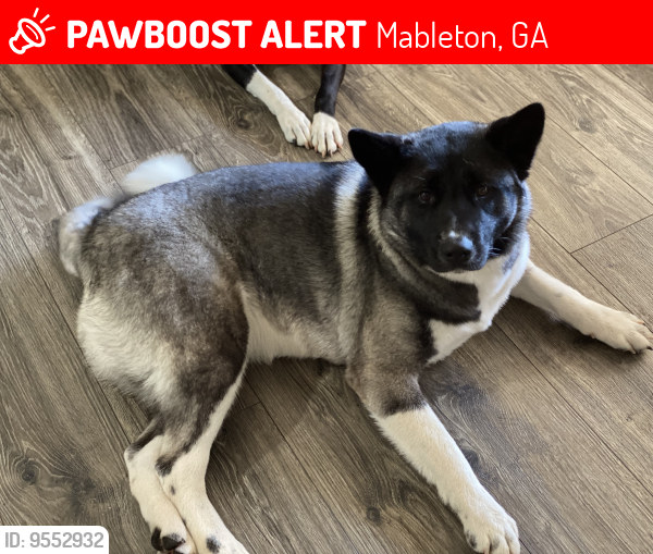 Lost Female Dog last seen Fontaine Rd, Mableton, GA 30126