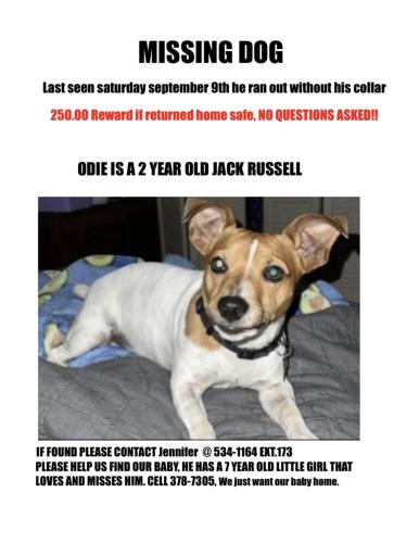 Lost Male Dog last seen Walker & columbia road, Orangeburg County, SC 29118