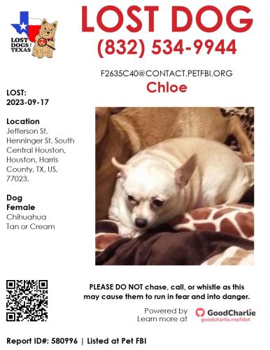 Lost Female Dog last seen Henninger St, Baird St. , Houston, TX 77023