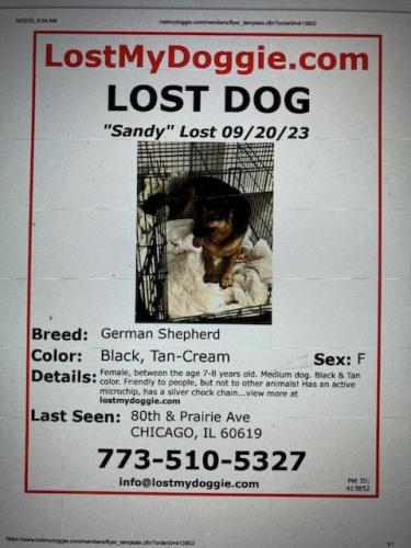 Lost Female Dog last seen Near south Prairie ave., Chicago, IL 60619