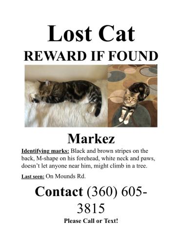 Lost Male Cat last seen Near Mounds Road, Anderson, IN 46016