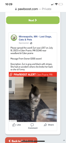 Lost Female Cat last seen Briarhil apmts, Eden Prairie, MN 55346