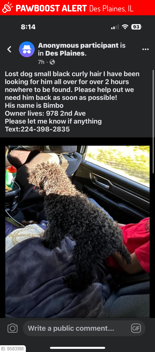Lost Male Dog last seen Near south 2nd Ave , Des Plaines, IL 60016
