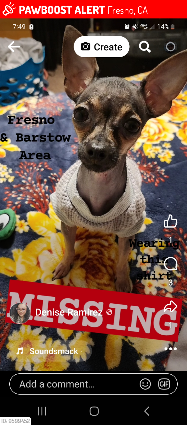 Lost Female Dog last seen Fresno st. & Barstow , Fresno, CA 93721