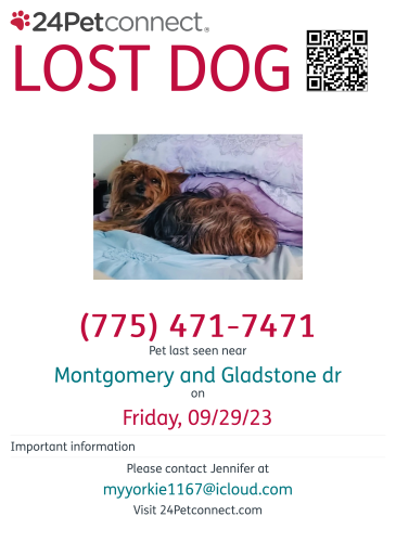Lost Female Dog last seen Montgomery and Gladstone drive , Reno, NV 89506