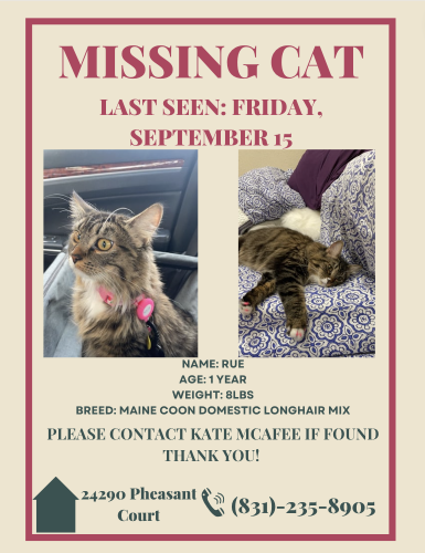 Lost Female Cat last seen Meadows Neighbourhood Corral De Tierra , Salinas, CA 93908