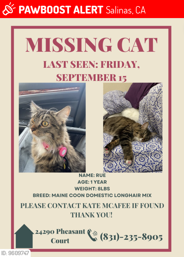 Lost Female Cat last seen Meadows Neighbourhood Corral De Tierra , Salinas, CA 93908