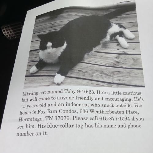 Lost Male Cat last seen Near weatherbeaten Pl, Hermitage Tenn, Nashville, TN 37076