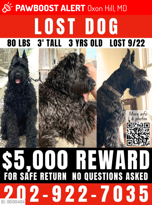 Lost Male Dog last seen Fort Foote Park, Fort Washington, MD 20744