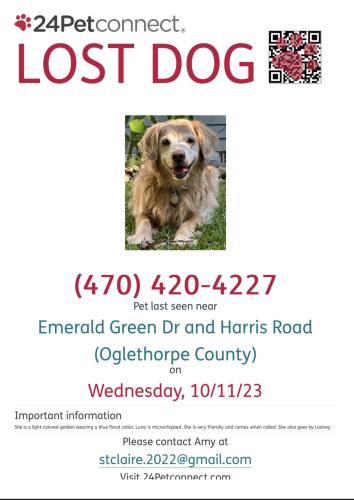 Lost Female Dog last seen Old Lexington Rd and Lexington Trace, Athens, GA 30605