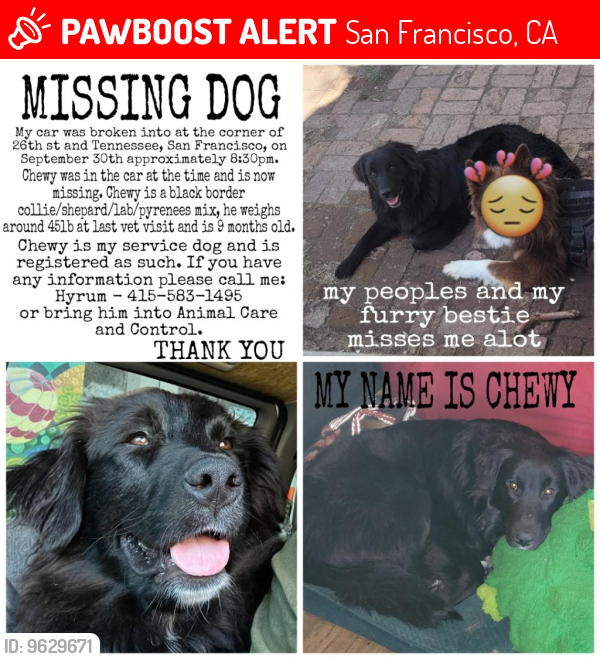 Lost Male Dog last seen Dog patch neiborhood San Francisco , San Francisco, CA 94107