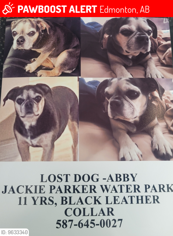Lost Female Dog last seen Whitemud, Edmonton, AB 
