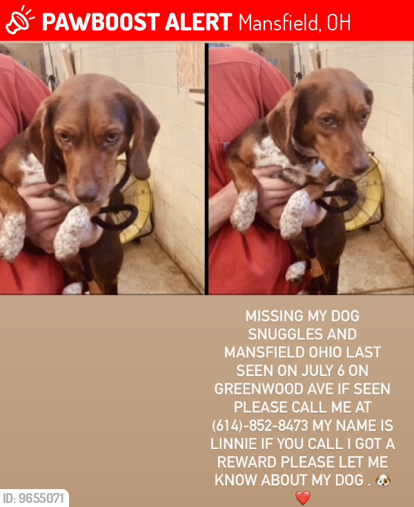 Mansfield, OH Lost Female Dog, Snuggles Is Missing PawBoost
