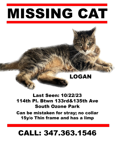 Lost Male Cat last seen Near 114th place , Queens, NY 11420