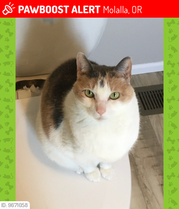 Lost Female Cat last seen Toliver Rd & Hwy 213, Molalla OR, Molalla, OR 97038