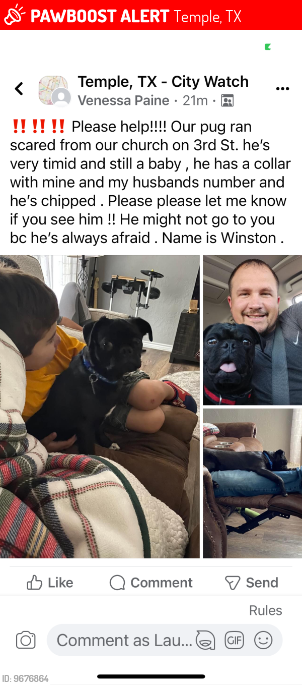 Lost Male Dog last seen French Ave , Temple, TX 76501