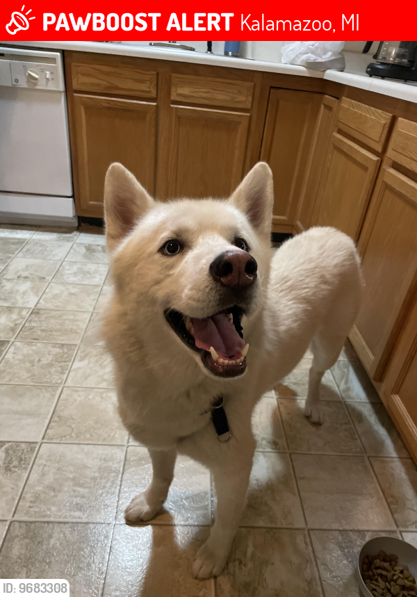 Kalamazoo, MI Lost Male Dog, No Name Is Missing PawBoost