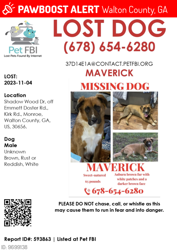 Lost Male Dog last seen Highway 11, Walton County, GA 30656