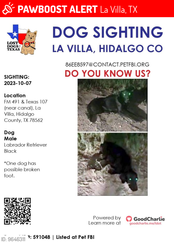 La Villa, TX Lost Female Dog, Unknown Is Missing PawBoost