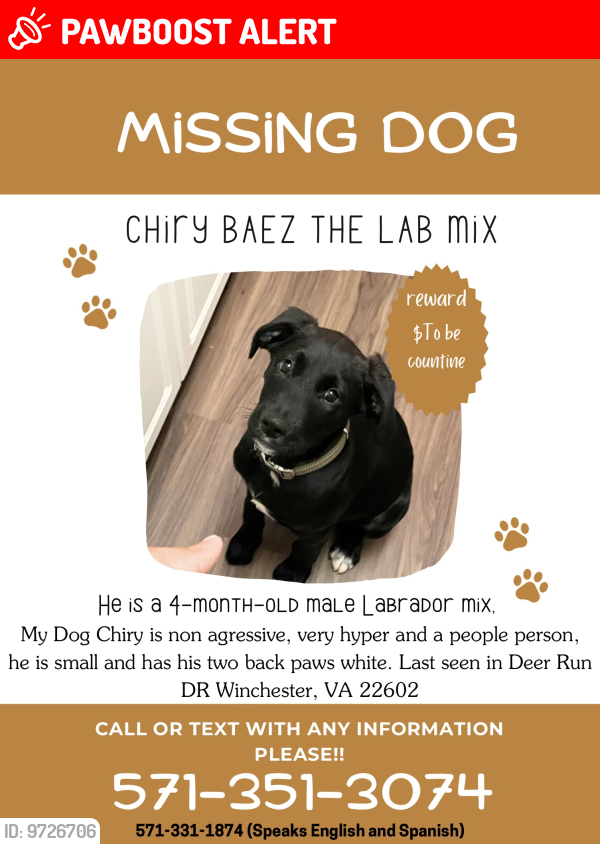 Lost Male Dog last seen Quail run lane , Frederick County, VA 22602