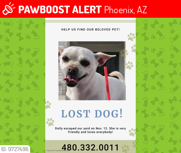 Lost Female Dog last seen Desert Gardens, Shea and Tatum, Phoenix, AZ 85028