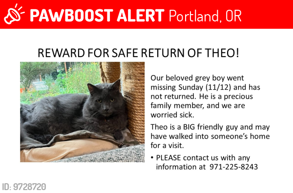 Lost Male Cat last seen se 122nd and se brookside dr Portland ORd , Portland, OR 97266