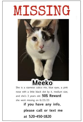 Lost Female Cat last seen Near N abby cir, San Tan Valley, AZ 85143