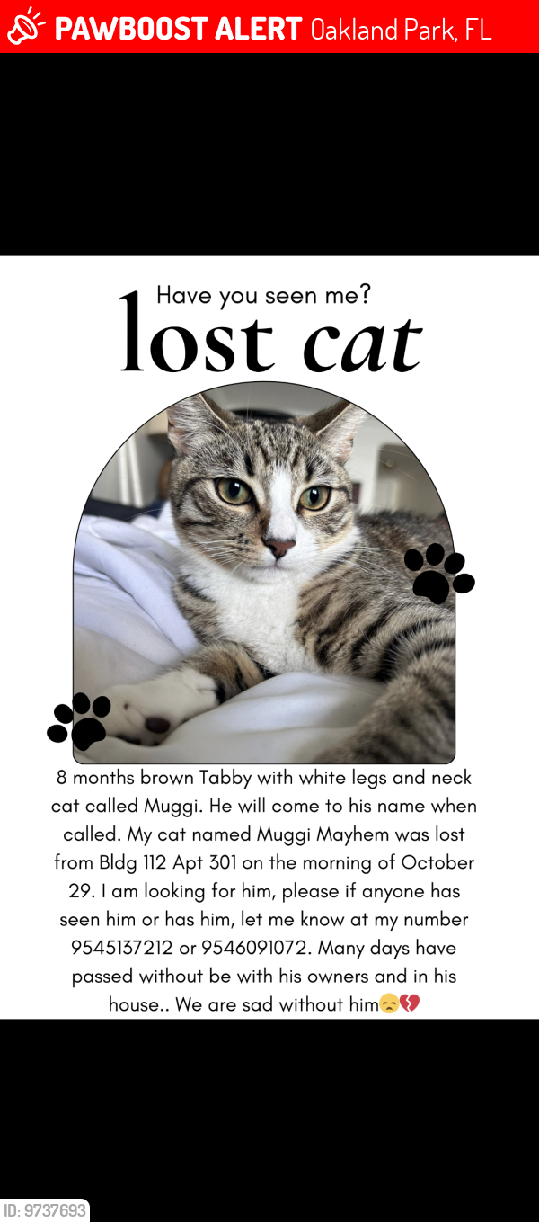 Lost Male Cat last seen Lake Emerald Dr, Oakland Park, FL 33309