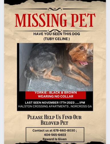 Lost Male Dog last seen Jimmy Carter Blvd , Norcross GA, Norcross, GA 30093