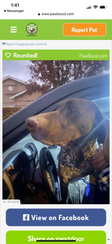 Lost Male Dog last seen Someone on Pawboots had him but gave to wrong owner, Albuquerque, NM 87102