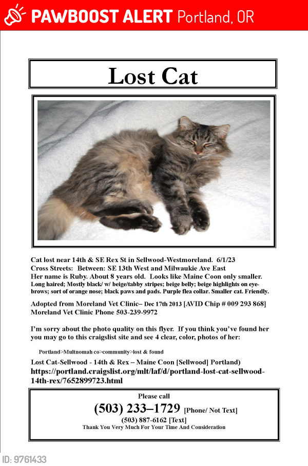 Lost Female Cat last seen 14th Ave & Rex Street, Portland, X- St Milwaukie Ave; Near Sellwood bridge; Sellwood Neighborhood, Portland, OR 97202