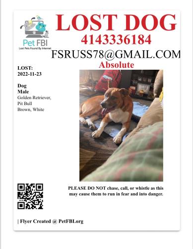 Lost Male Dog last seen Center, Milwaukee, WI 53210